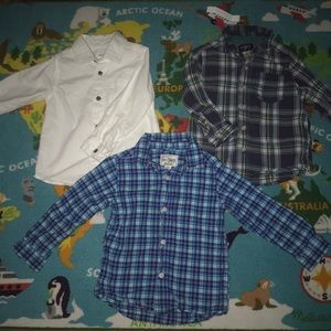 Bundle of Boys 3t Blue and White Button Downs